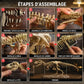 Coffret Squelette T-Rex Geant