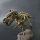 Coffret Squelette T-Rex Geant