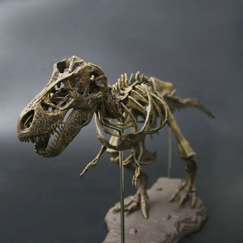 Coffret Squelette T-Rex Geant