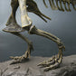 Coffret Squelette T-Rex Geant