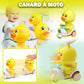 jouet-qui-bouge-pour-bebe-canard