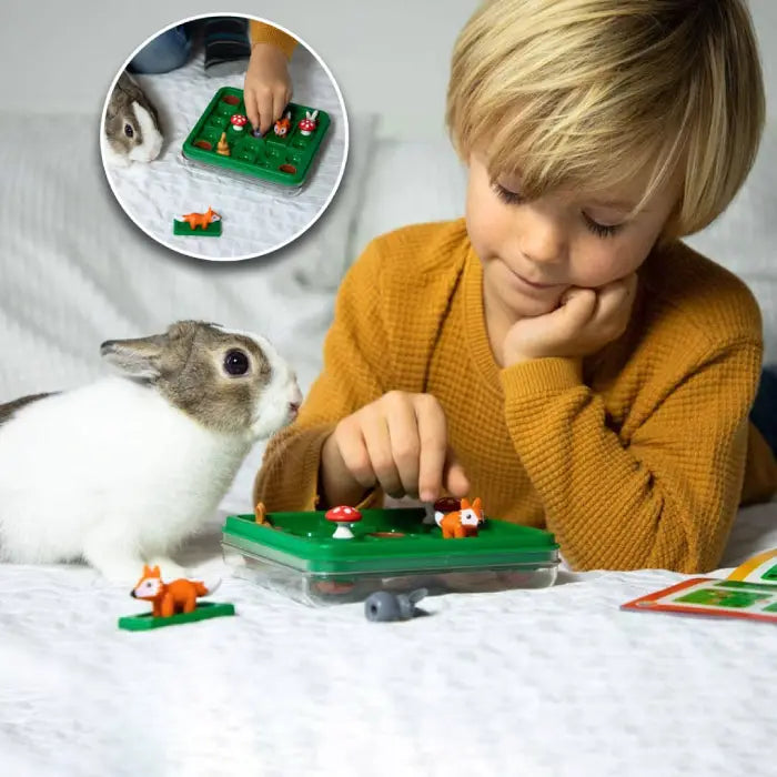 lievres-et-renards-rabbit